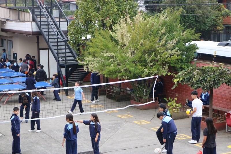 Día de la Actividad Física